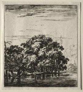 Le bois au bord de la rivière