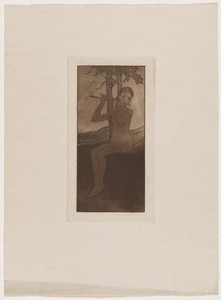 Le chant de la cigale