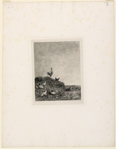 Le Chant du Coq