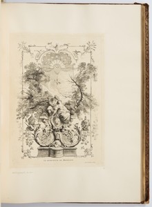 LE DENICHEUR DE MOINEAUX