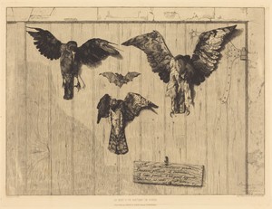 Le Haut d'un battant de porte (Birds Nailed to a Barn Door)