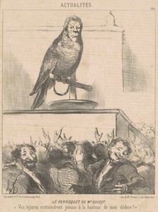Le perroquet de M. Guizot