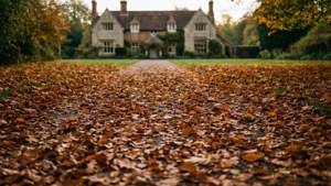 Leaf-Covered Path Frogmore