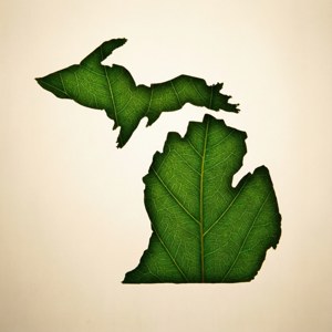 Leaf Michigan