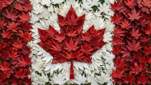 Leaf Mosaic Flag