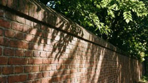 Leaf Shadows on Brick