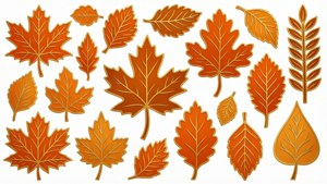 Leaf Silhouette Set