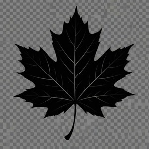 Leaf Silhouette Vector