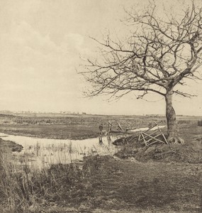 Leafless March. [Suffolk.]