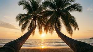 Leaning Lovers Palm