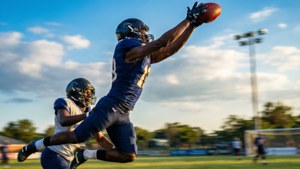 Leaping Catch Under Lights