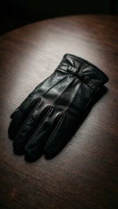 Leather Glove Still Life