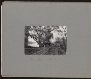 Lee's Bridge