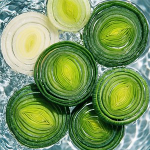 Leek Rings in Water