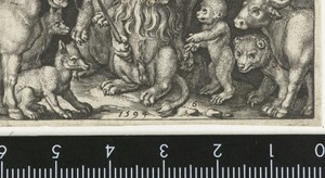 Leeuw als koning tussen andere dieren