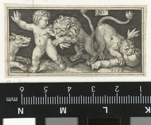 Leeuw en leeuwin verscheuren putti