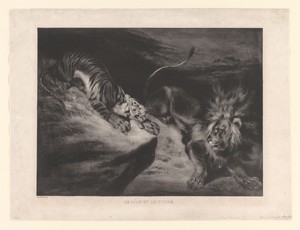 Leeuw en tijger