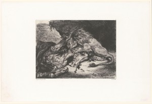 Leeuw verslindt een paard