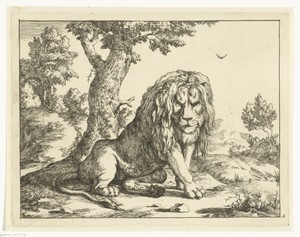 Leeuw zittend bij boom