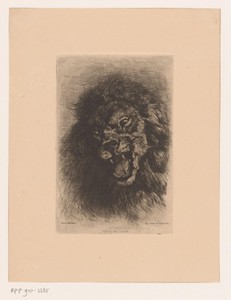 Leeuwenkop
