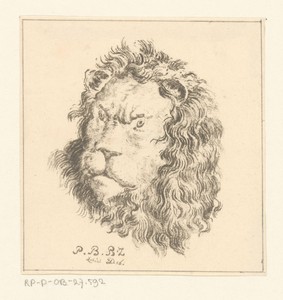 Leeuwenkop