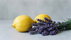 Lemon and Lavender Calm