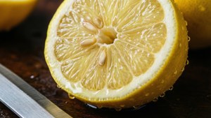 Lemon Cut