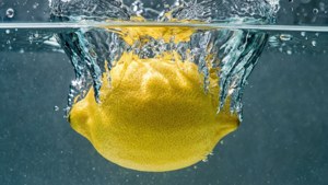 Lemon Splash