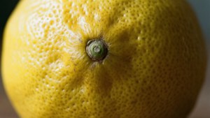 Lemon Texture Macro
