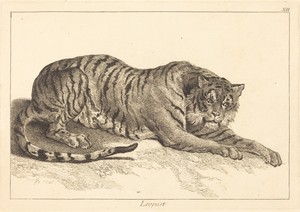 Leopart (Leopard or Tiger)