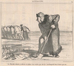 Les boyards réduits a cultiver ...