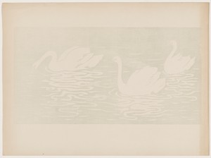 Les cygnes