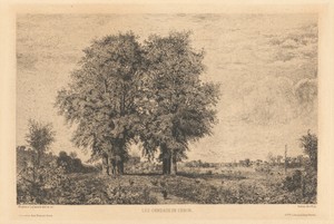 Les Ormeaux de Cénon