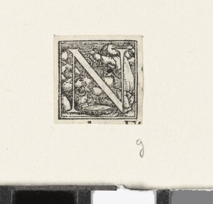 Letter N met drie kinderen van wie een kind zijn haar wast
