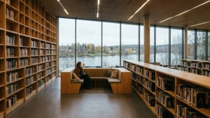 Library with a View
