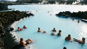 Life in the Lagoon