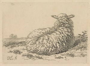 Liggend schaap