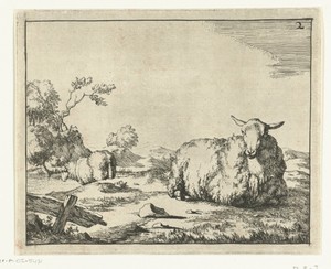 Liggend schaap, hekje op voorgrond