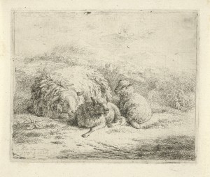 Liggend schaap met twee lammeren