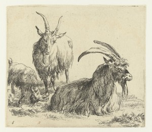 Liggende bok en geit met een bokje