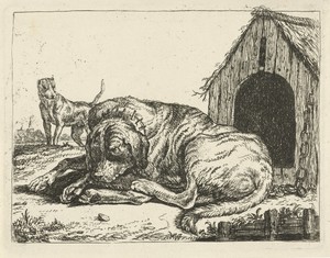 Liggende hond aan een ketting