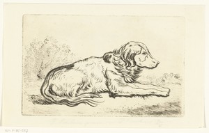 Liggende hond in landschap