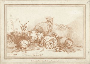 Liggende schapen en geit