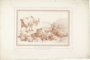 Liggende schapen met lammeren en geit met jongen
