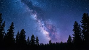 Light Blue Starry Night