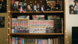 Light Novel Nook