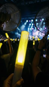 Light Stick in the Dark