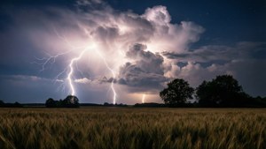 Lightning Over Field