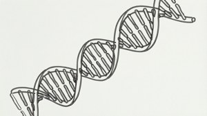Line Art DNA