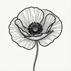 Line Art Poppy